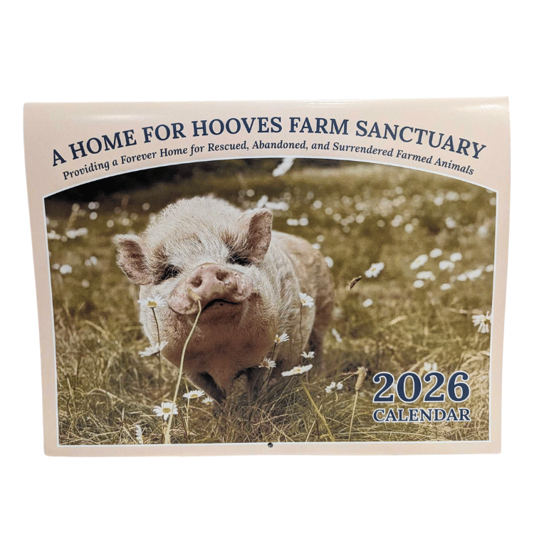 A Home For Hooves 2026 Calendar