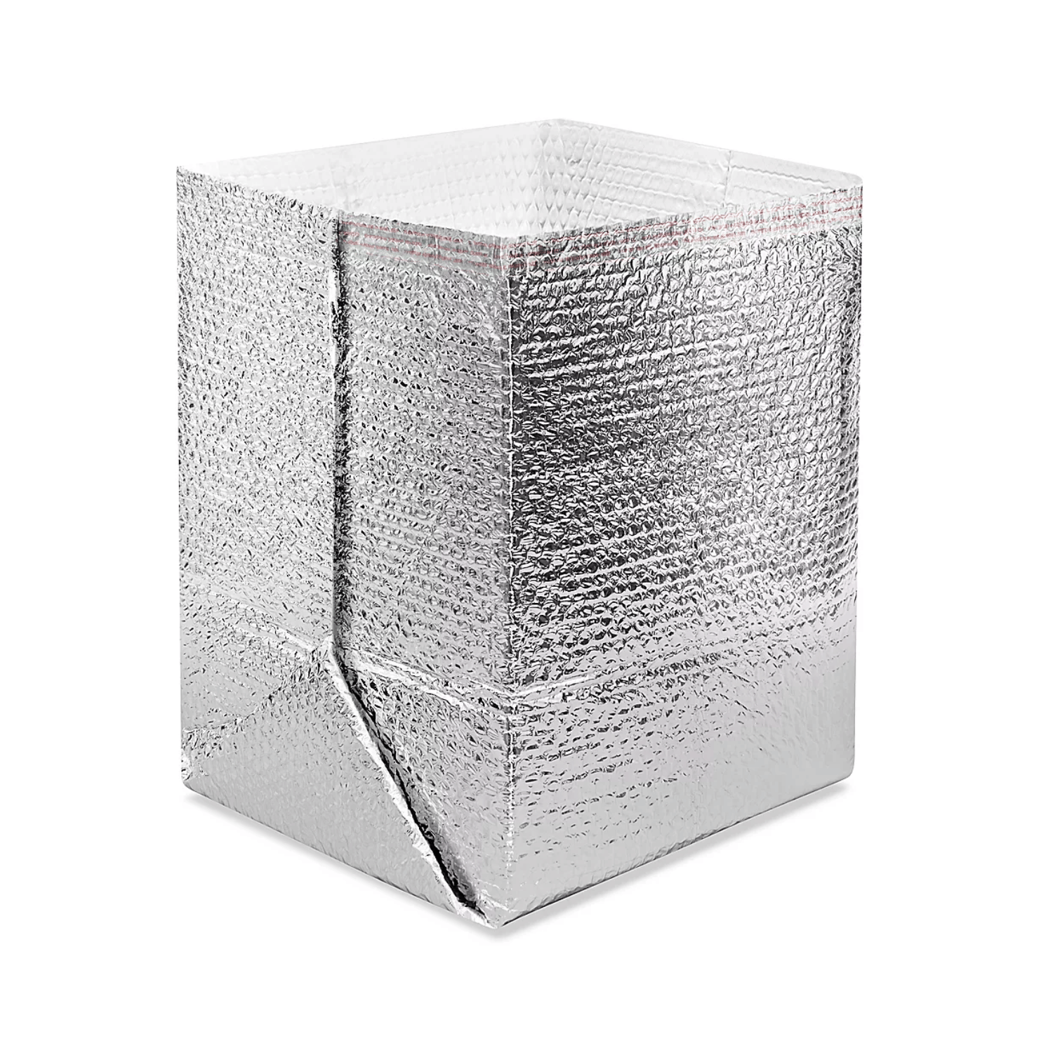 Vegan Supply Insulated Shipping Box