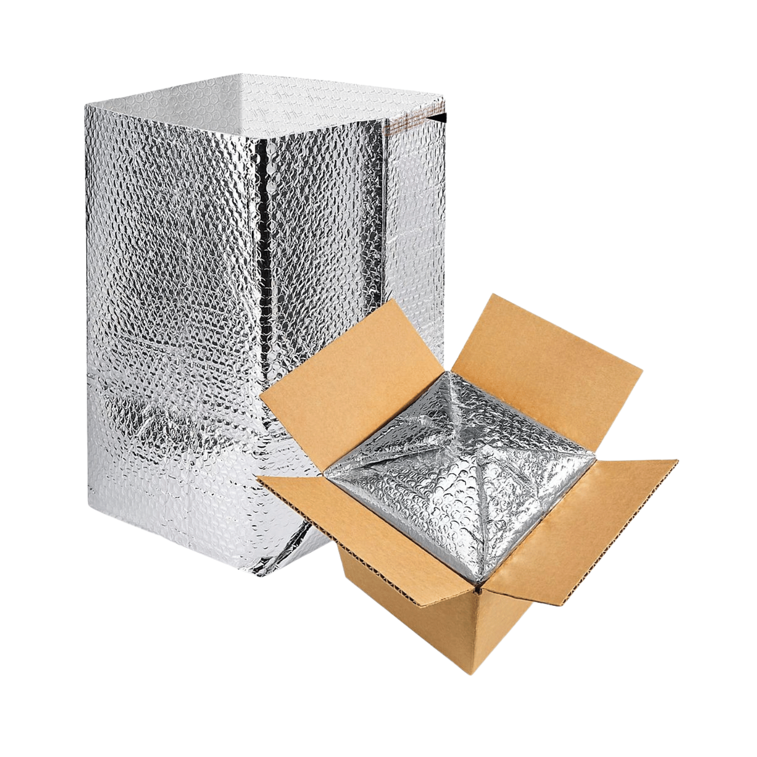 Vegan Supply Insulated Shipping Box