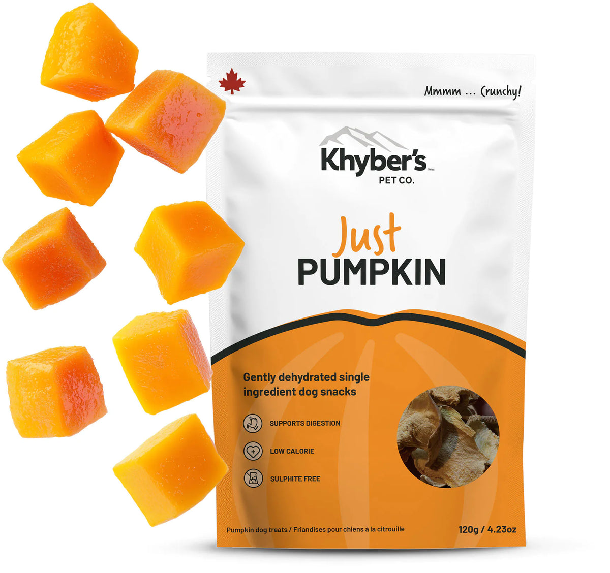Khyber's Pet Co. Just Pumpkin Trail Bites - 120g