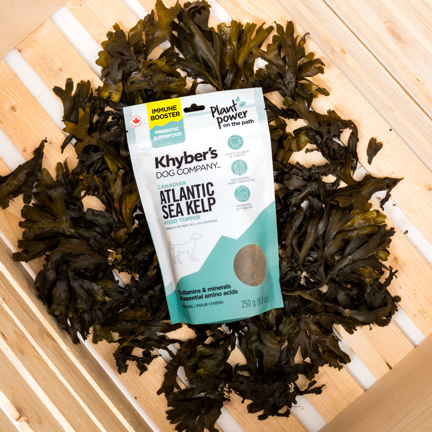 Khyber's Pet Co. Atlantic Sea Kelp Dog Food Topper - 250g