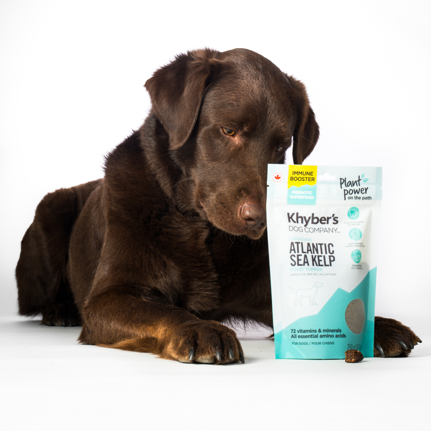 Khyber's Pet Co. Atlantic Sea Kelp Dog Food Topper - 250g