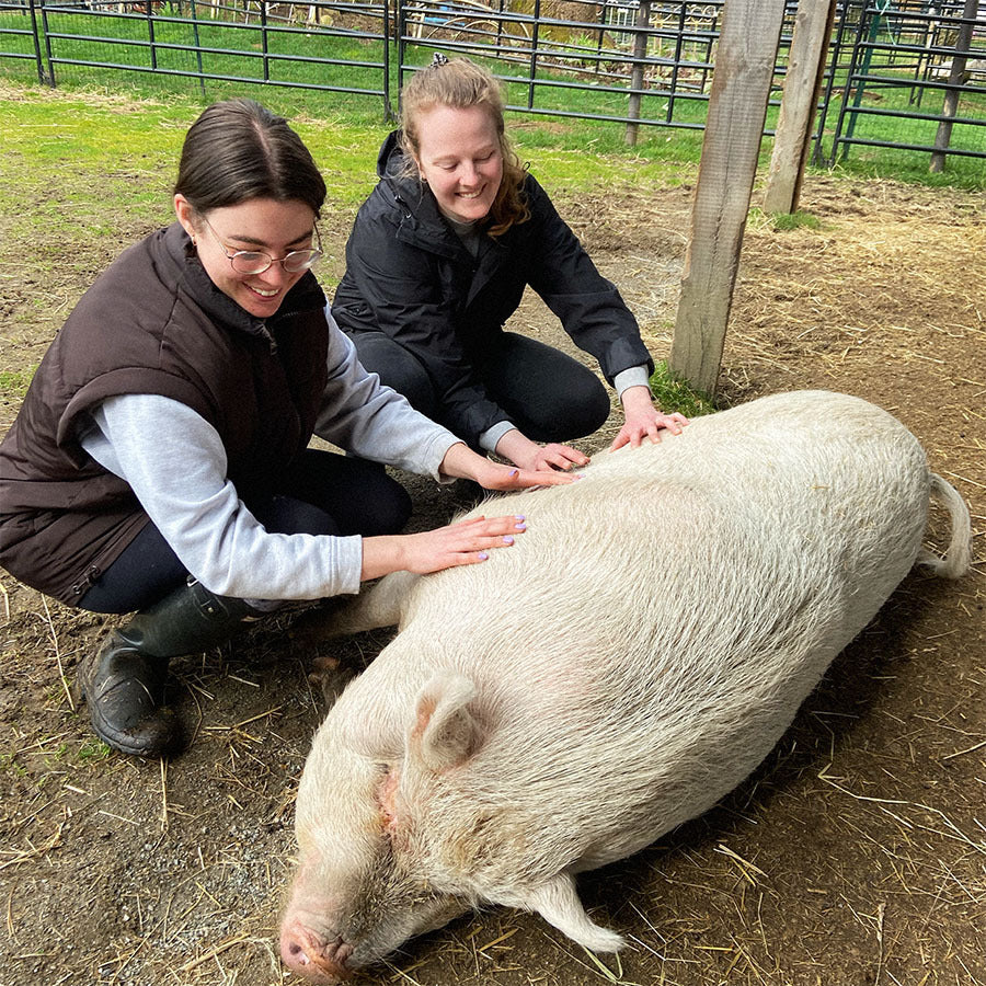 Mission Driven and Centered