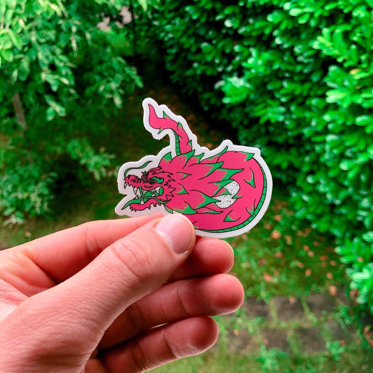 Plant Active 'Fruit du Dragon' Sticker
