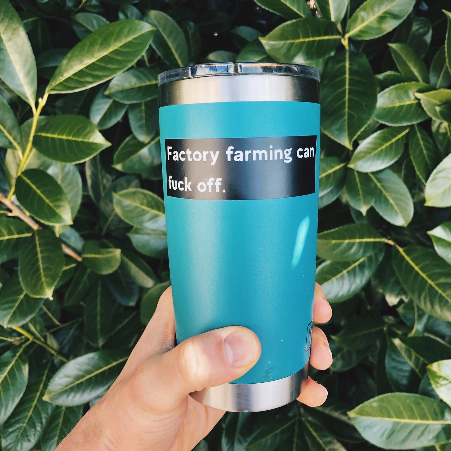 CLEARANCE - Plant Active 'Factory farming can f*ck off' Sticker - Black