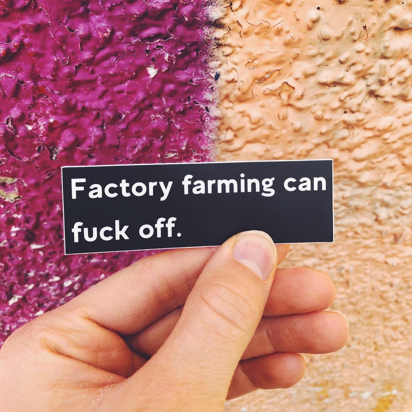 CLEARANCE - Plant Active 'Factory farming can f*ck off' Sticker - Black