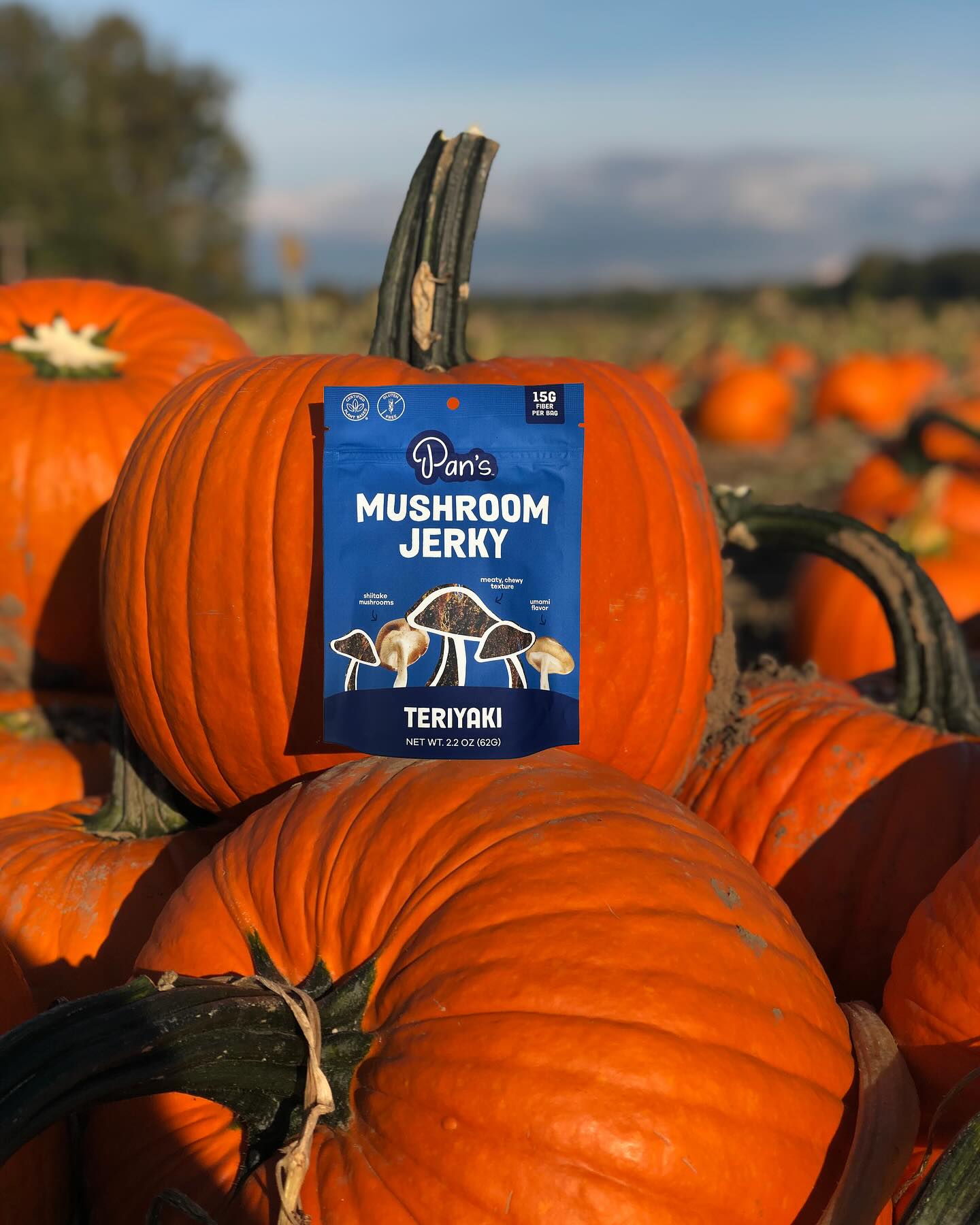 Pan's Teriyaki Mushroom Jerky - 62g