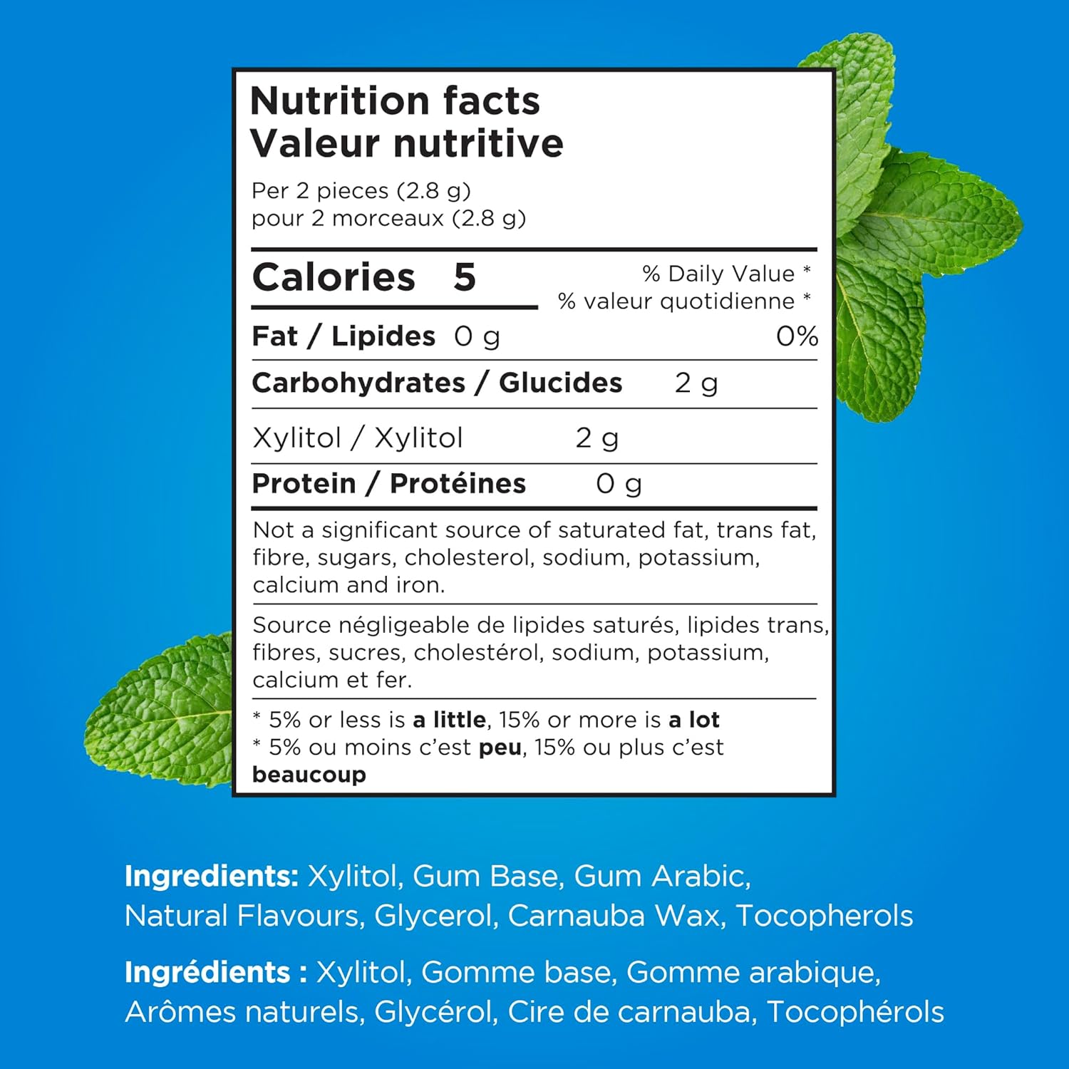 Pur Peppermint Gum - 77g