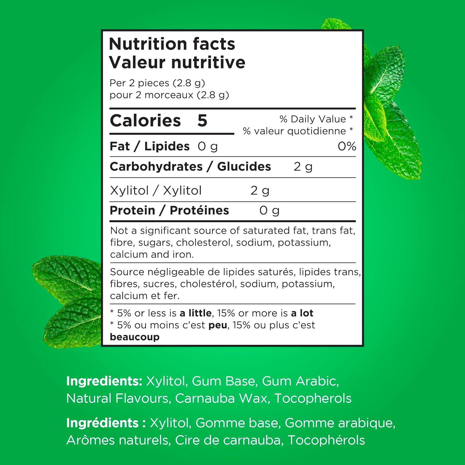 Pur Spearmint Gum - 77g