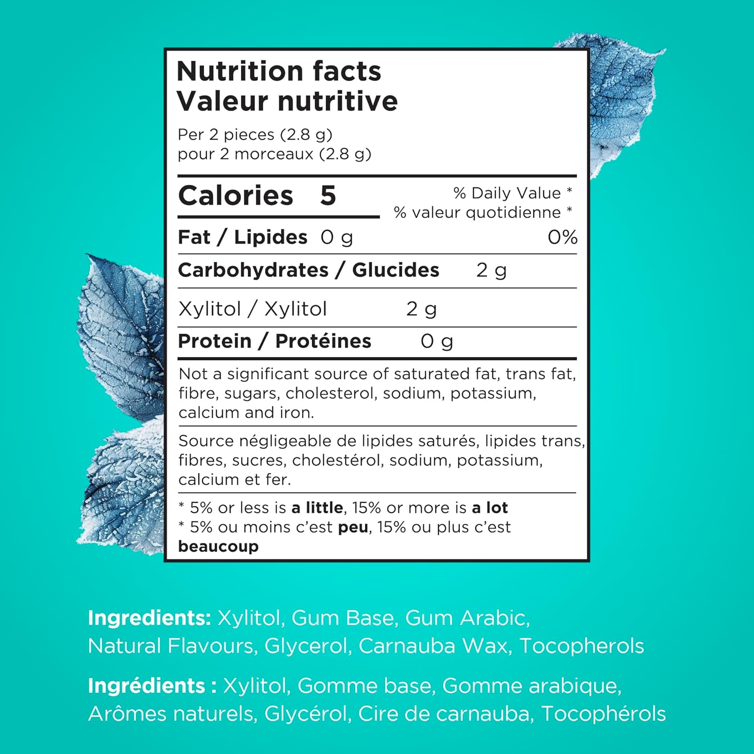 Pur Wintergreen Gum - 77g