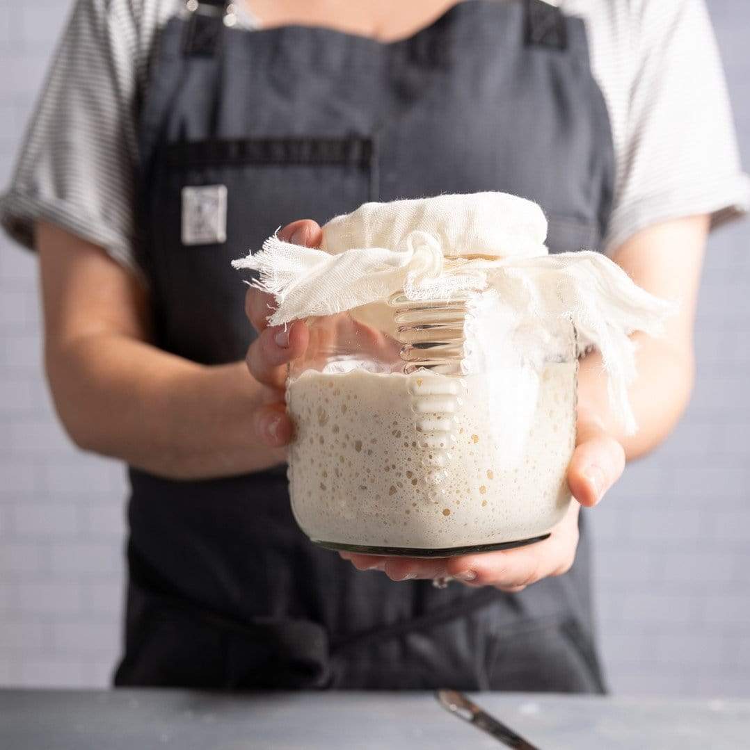 Cultures For Health San Francisco Sourdough Starter Culture Single - 5.4g