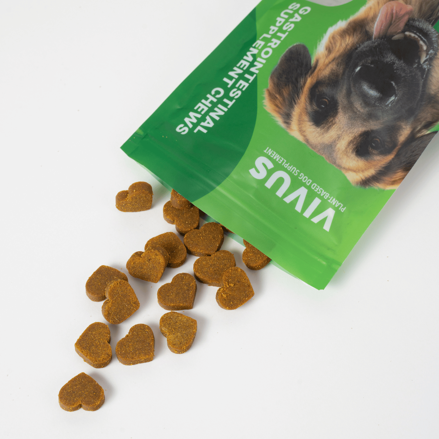 Vivus Multi-Function Algae Omega 3 + Probiotics Supplément Chien - 150g