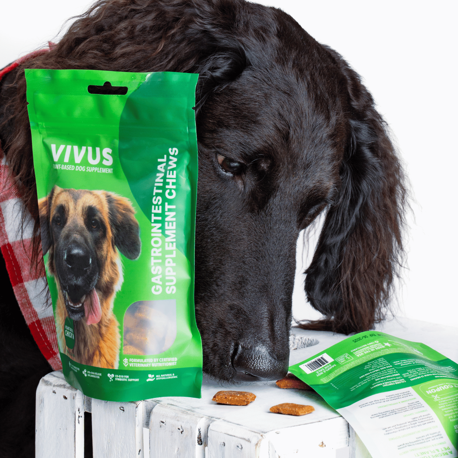 Vivus Multi-Function Algae Omega 3 + Probiotics Supplément Chien - 150g