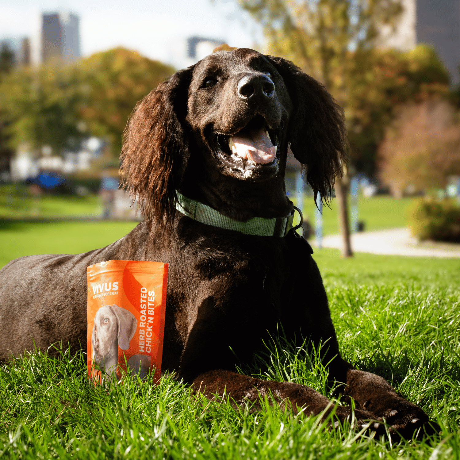 Vivus Herb Roasted Chick'n Bites - 100g