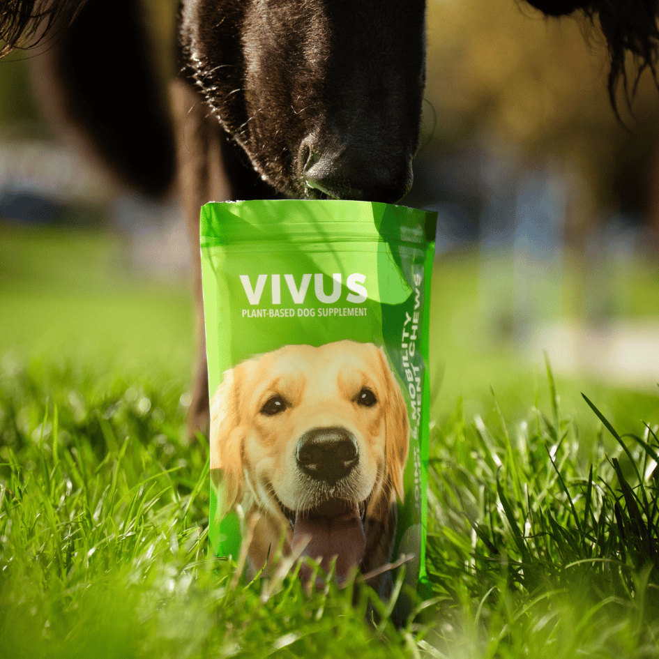 Supplément Vivus Vegan Dog Articulation - 150g
