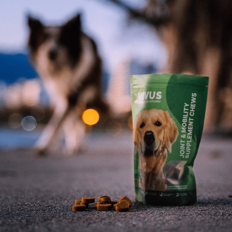 Supplément Vivus Vegan Dog Articulation - 150g