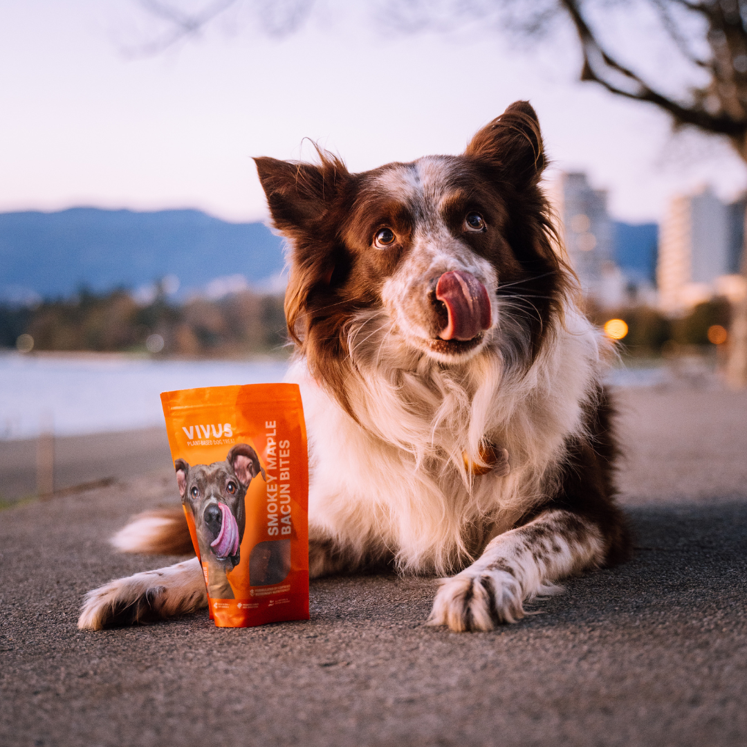 Vivus Smokey Maple Bacun Treats - 100g
