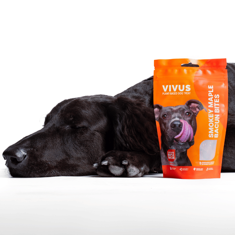 Vivus Smokey Maple Bacun Treats - 100g