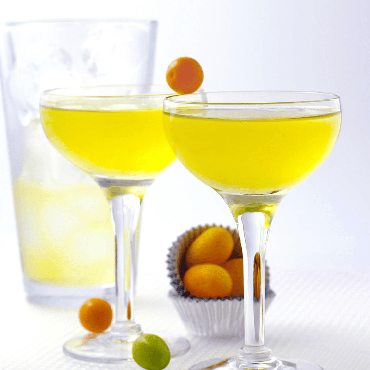 1883 Yuzu Lemon Syrup - 1L (Glass Bottle)