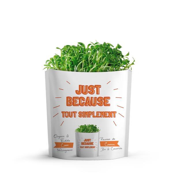 CLEARANCE - Gift a Green Microgreens Greeting Card