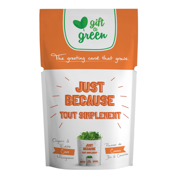 Offrez un microgreens vert Carte de vœux