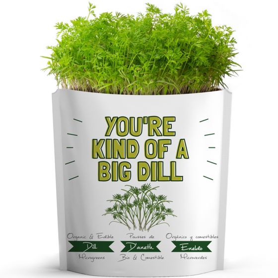 CLEARANCE - Gift a Green Microgreens Greeting Card