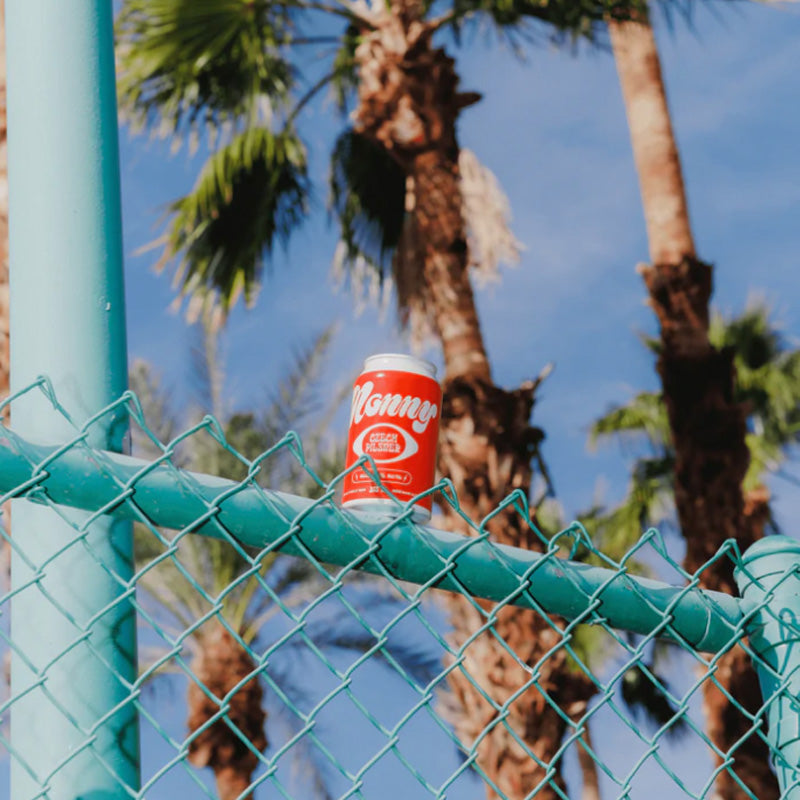 Nonny Pilsner - 355ml