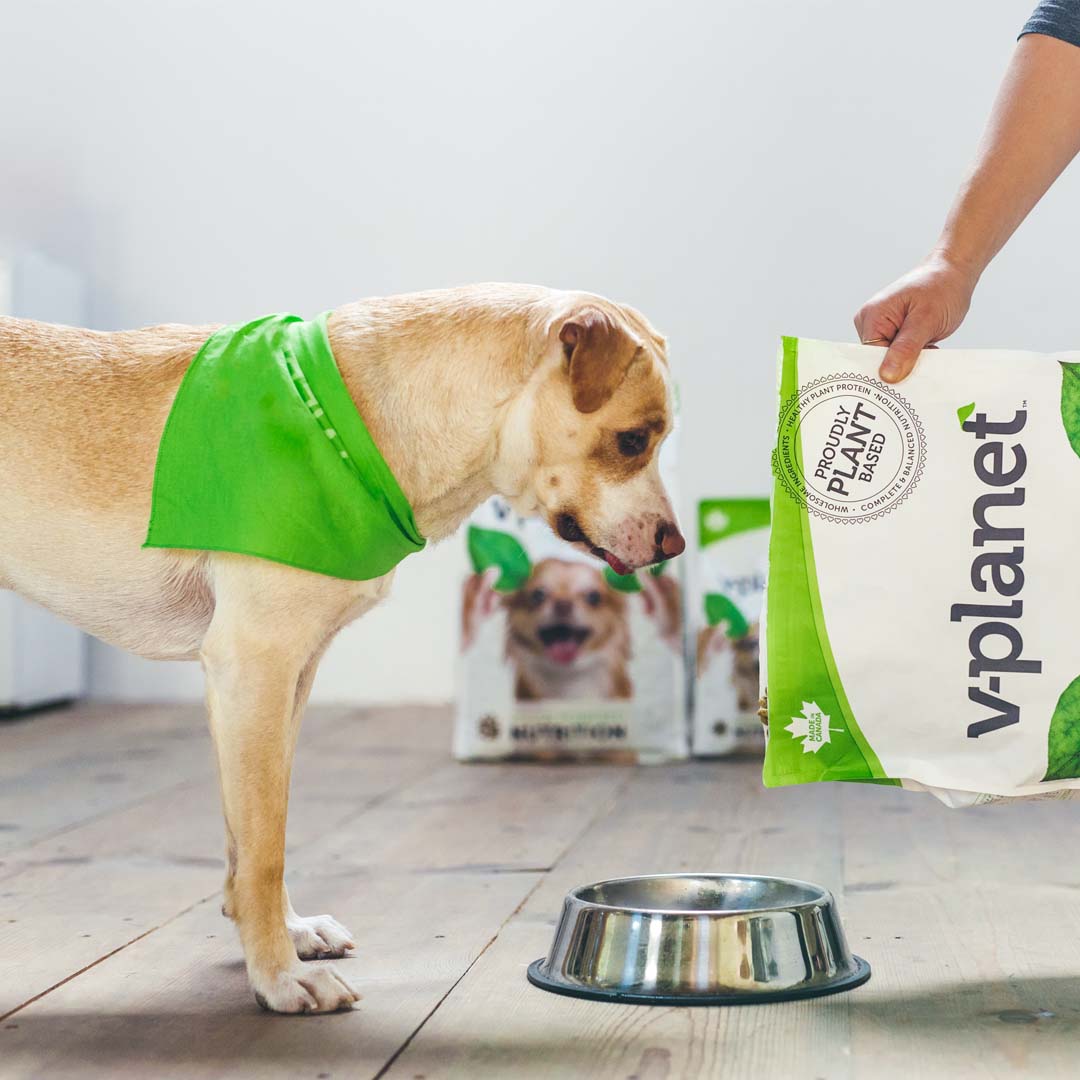 V-Planet Regular Dog Kibble - 13.6kg