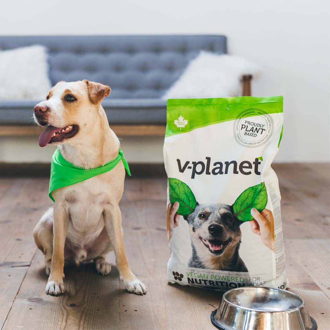 V-Planet Regular Dog Kibble - 6.8kg