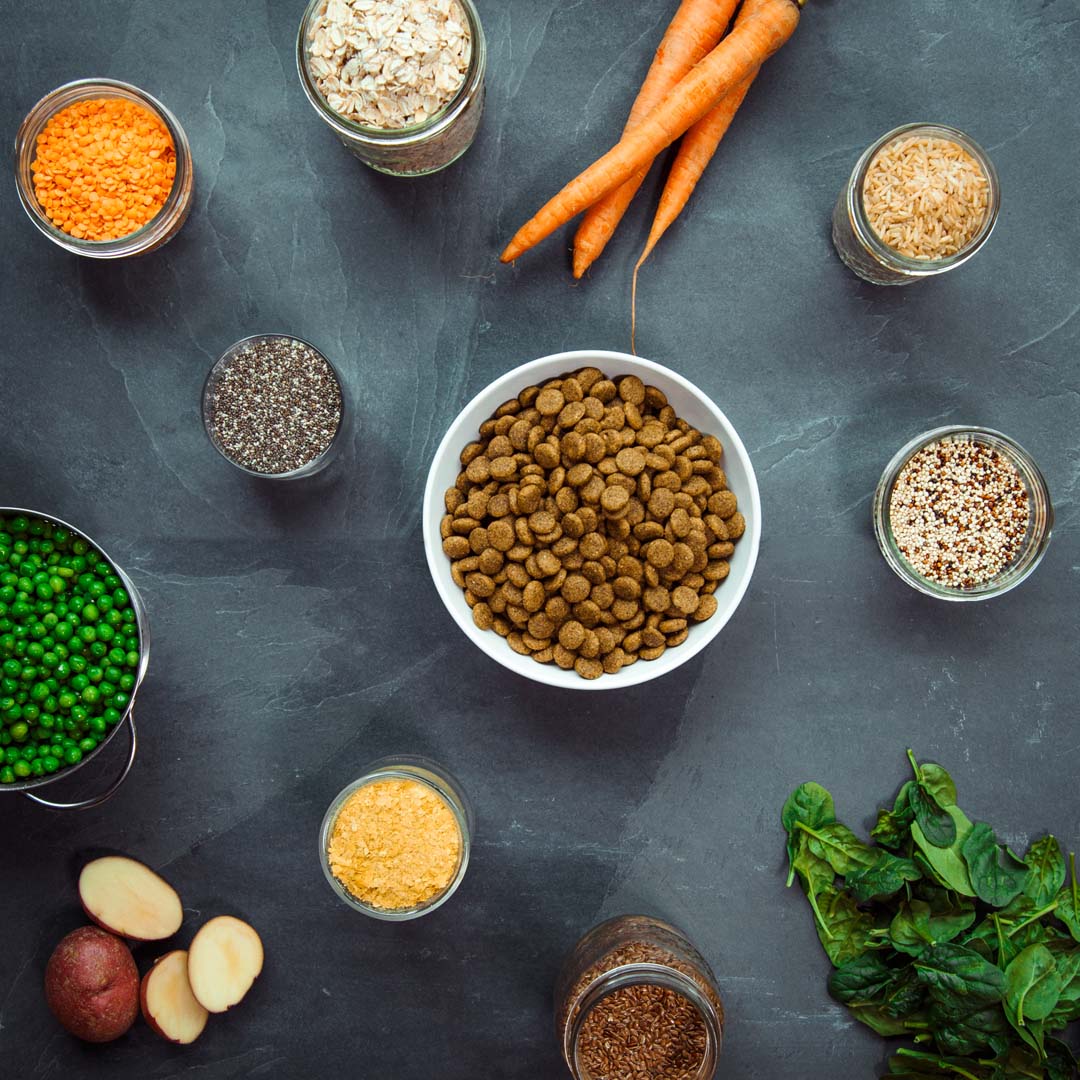 V-Planet Regular Dog Kibble - 6.8kg