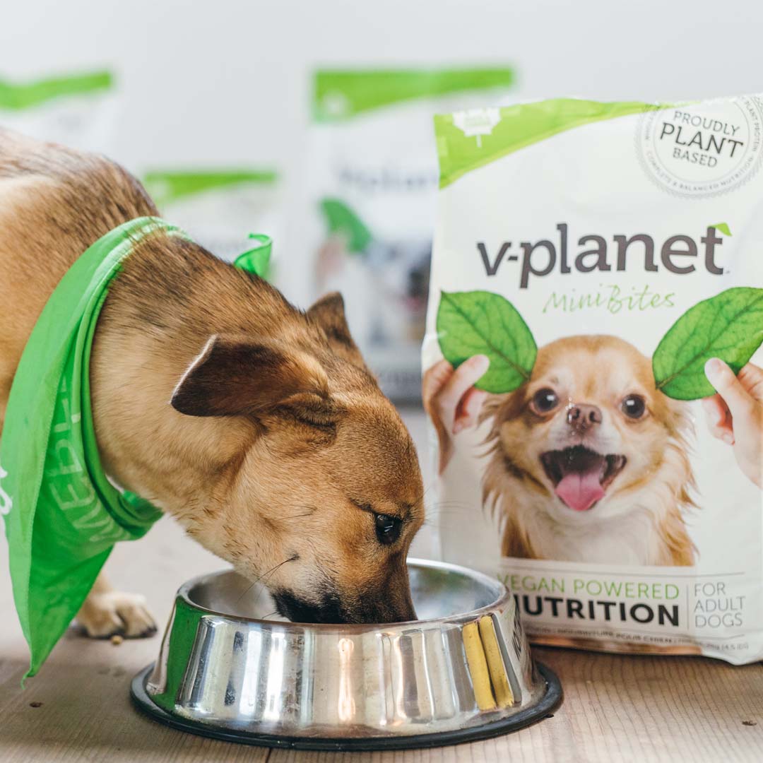 V-Planet Mini Dog Kibble - 2.04kg