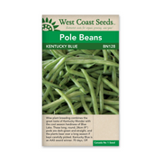 West Coast Seeds Graines de haricot bleu du Kentucky - 25g