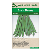 West Coast Seeds Graines de haricot de brousse Masai - 20g