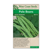 West Coast Seeds Hilda Romano Graines de haricots polaires - 27g