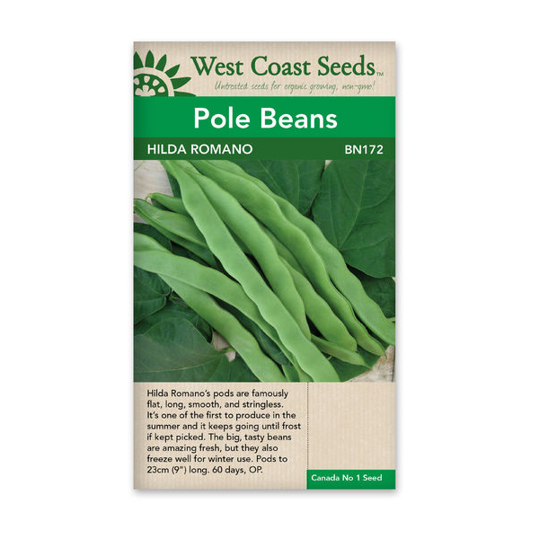 West Coast Seeds Hilda Romano Pole Bean Seeds - 25 Seeds
