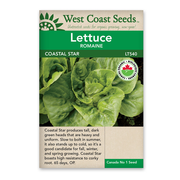 West Coast Seeds Coastal Star Organic Lettuce Seeds - 200 Seeds