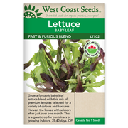 West Coast Seeds Fast And Furious Blend Organic Lettuce Seeds - 500 Seeds
