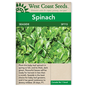 West Coast Seeds Graines d'épinards bord de mer - 100 graines