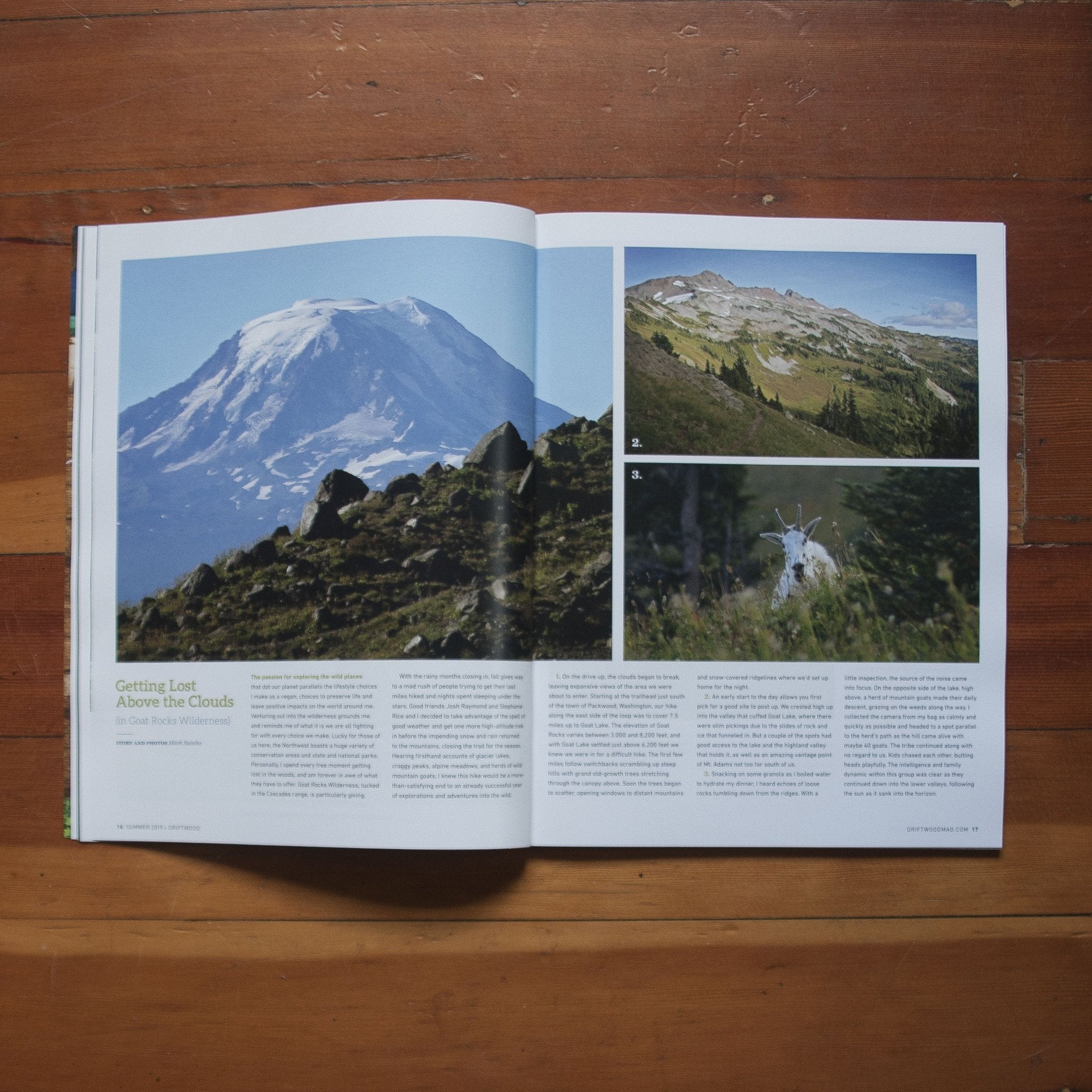 Driftwood Magazine - Numéro 1