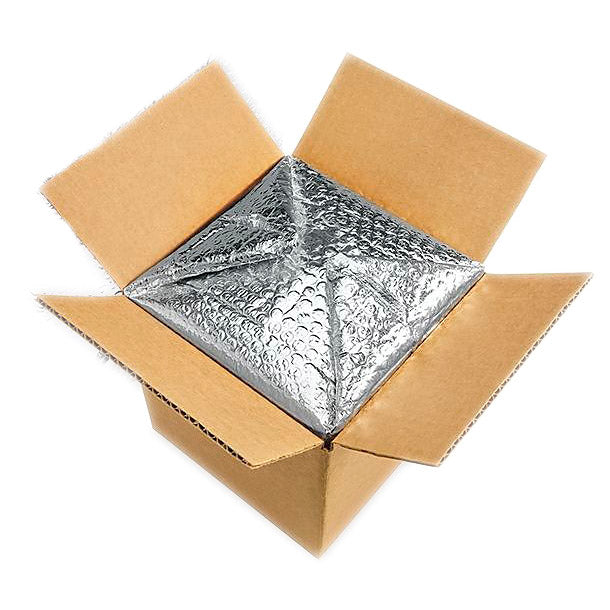 Vegan Supply Insulated Shipping Box